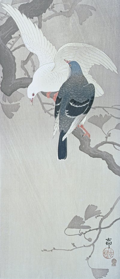 Deux colombes sous la pluie sur une branche de ginkgo - Ohara Koson