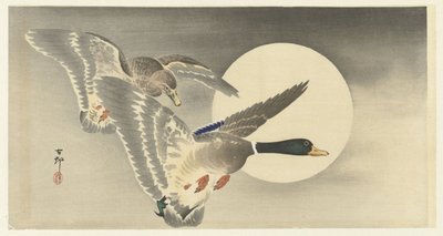 Deux canards avec pleine lune - Ohara Koson