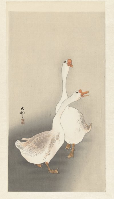 Deux oies - Ohara Koson