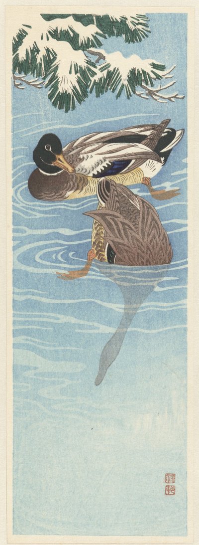 Deux canards sauvages dans l