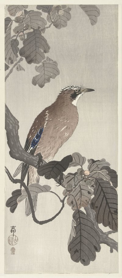 Geai des chênes sur une branche - Ohara Koson