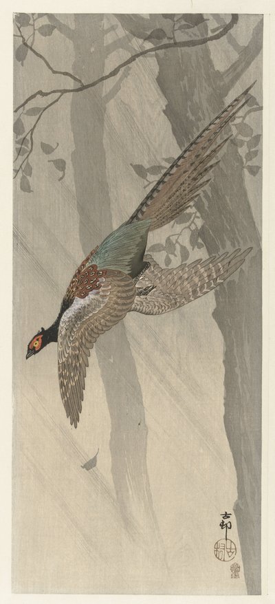 Faisan volant - Ohara Koson