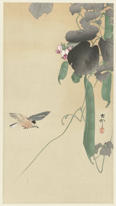 Oiseau près d