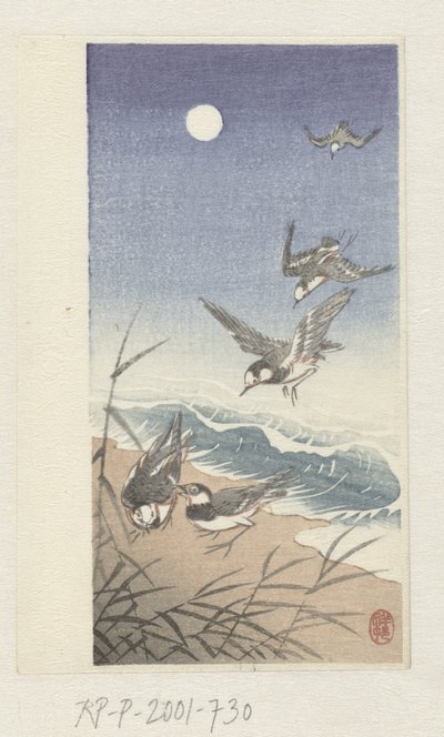 Oiseaux sous la pleine lune - Ohara Koson
