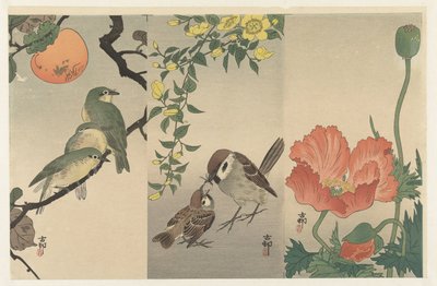 Oiseaux et plantes - Ohara Koson