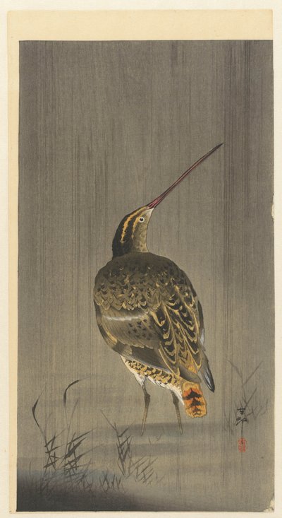 Bécassine sous la pluie - Ohara Koson