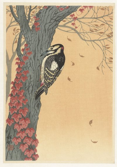 Pic dans un arbre avec du lierre rouge - Ohara Koson