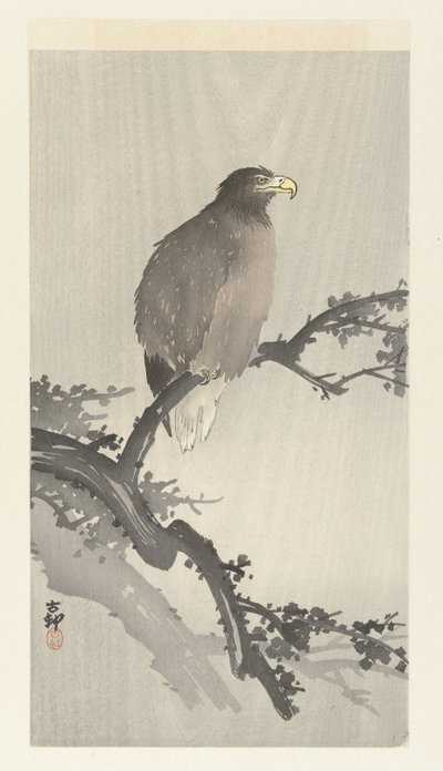Aigle de mer sur une branche - Ohara Koson