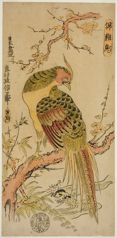Faisan doré (Kinkeicho) - Okumura Masanobu