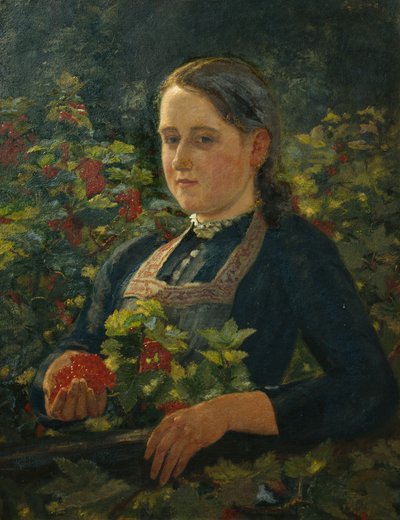 Groseilles rouges - Olaf Isaachsen