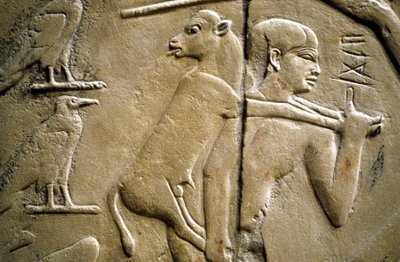 Détail d
