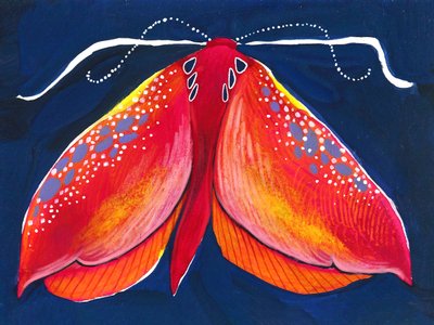 Papillon de nuit coloré - Olga Skomorokhova