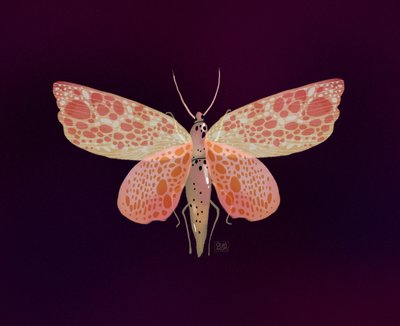  - Olga Skomorokhova