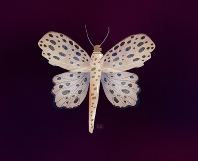  - Olga Skomorokhova
