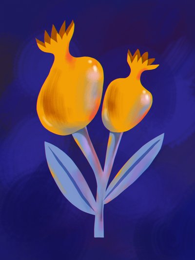 Grenades dorées stylisées - Olga Skomorokhova