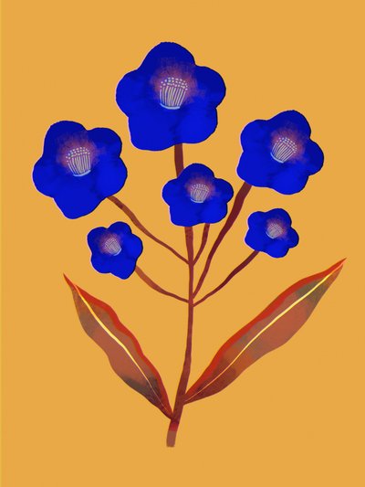 Fleurs d
