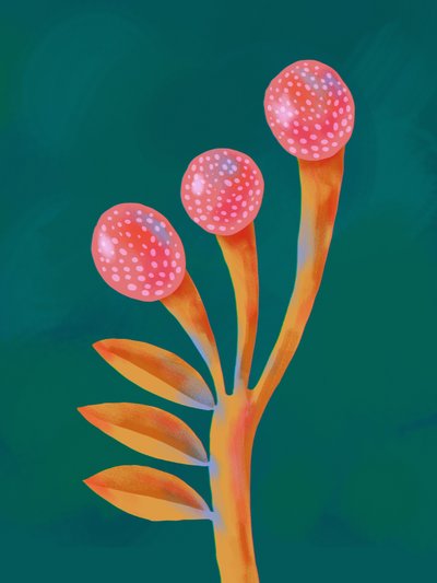 Plante fantastique et fantaisiste - Olga Skomorokhova
