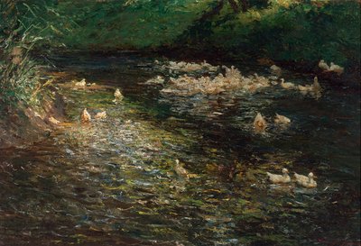 Étang aux canards - Olga Wisinger Florian