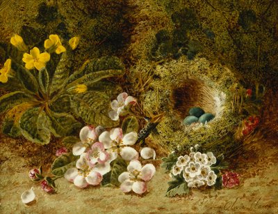 Fleurs de pommier, une primevère et un nid d