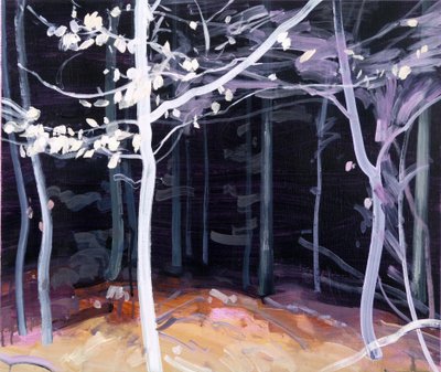 Forêt-noire 4 - Olivier Morel