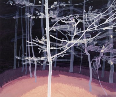Forêt-noire 7 - Olivier Morel