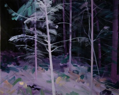 Forêt-noire 8 - Olivier Morel