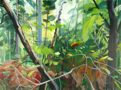Forêt 10 - Olivier Morel