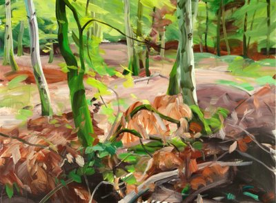 Forêt 11 - Olivier Morel