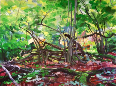 Forêt 12 - Olivier Morel
