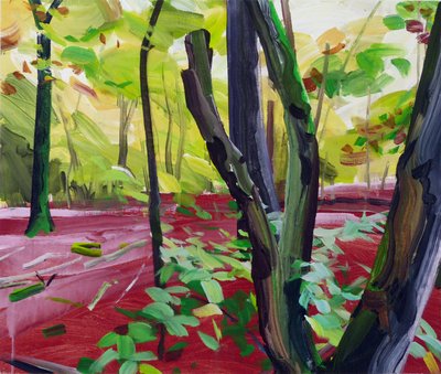 Forêt 16 - Olivier Morel