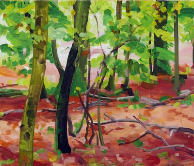 Forêt 17 - Olivier Morel