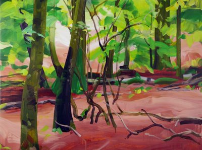 Forêt 20, 2017 - Olivier Morel