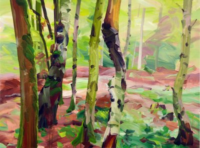 Forêt 21 - Olivier Morel