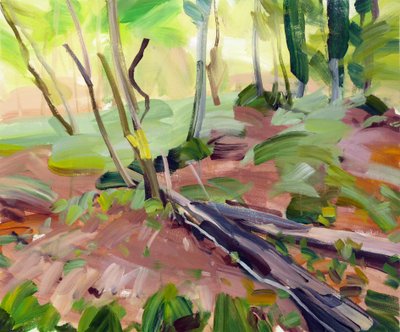 Forêt 24 - Olivier Morel
