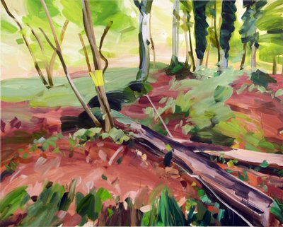 Forêt 25 - Olivier Morel
