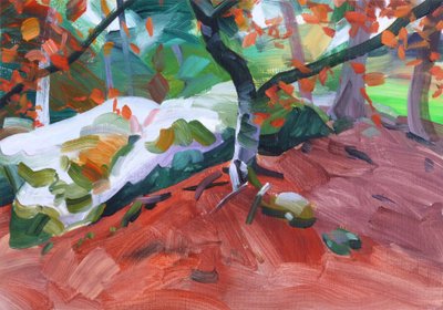 Forêt 31 - Olivier Morel