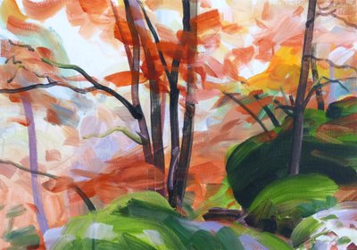 Forêt 34 - Olivier Morel