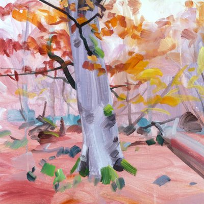 Forêt 37 - Olivier Morel