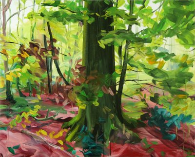Forêt 3 - Olivier Morel