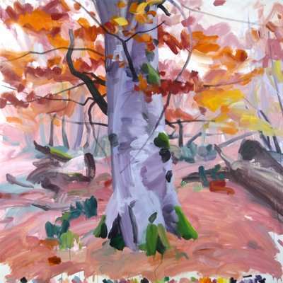 Forêt 40 - Olivier Morel
