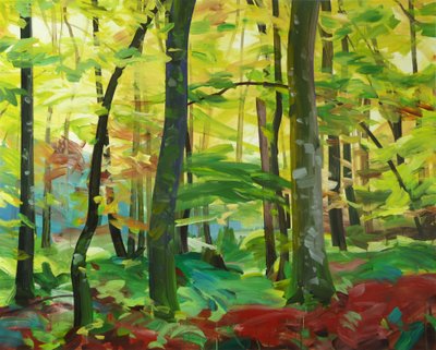 Forêt 4 - Olivier Morel