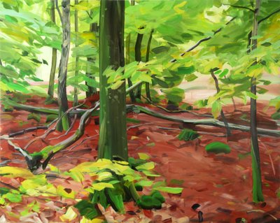 Forêt 5 - Olivier Morel