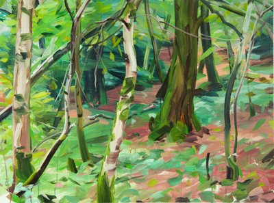 Forêt 6, 2015 - Olivier Morel