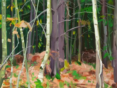 Forêt 7 - Olivier Morel