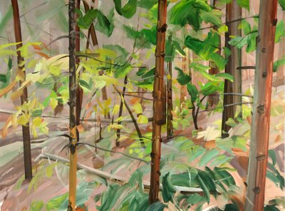 Forêt 9 - Olivier Morel