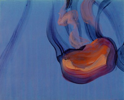 Méduses 5, 2013 (acrylique sur toile) - Olivier Morel