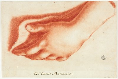 Moulage en plâtre de la main gauche - Onorio Marinari