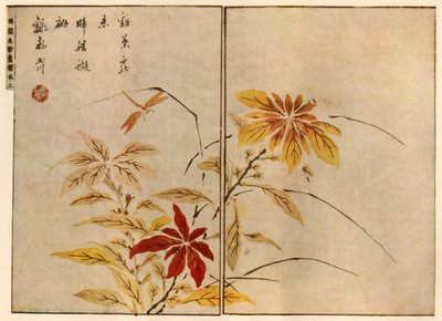 Libellule avec des plantes, 1746, 1924 - Ooka Shunboku