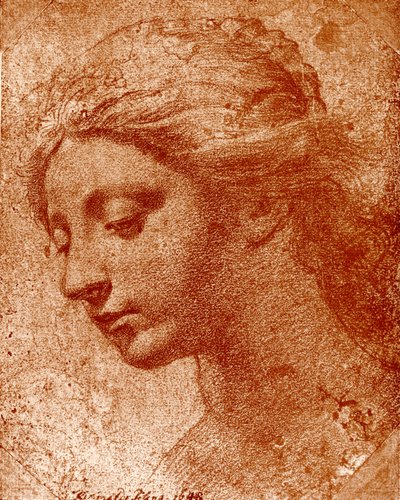 Tête de fille - Orazio Riminaldi