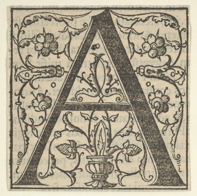 Lettre initiale A avec guirlandes, milieu du XVIe siècle - Oronce Fine